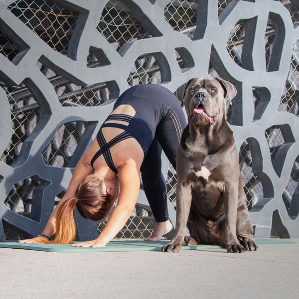 Une pratiquante réalise une flexion avant sur son tapis, avec un chien à ses côtés.