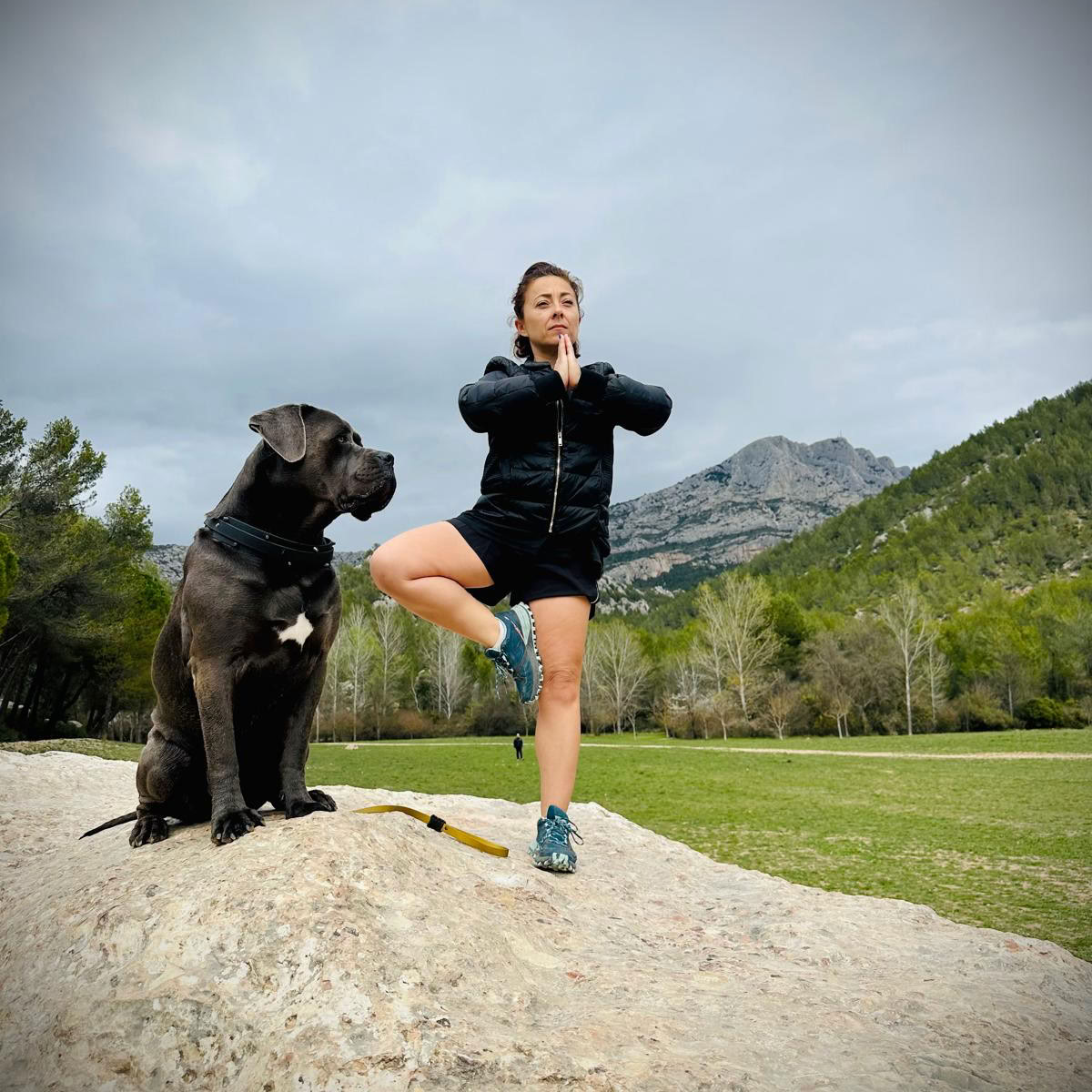 Femme en posture de l’arbre à côté d’un cane corso, sur un rocher face à la montagne Sainte-Victoire.