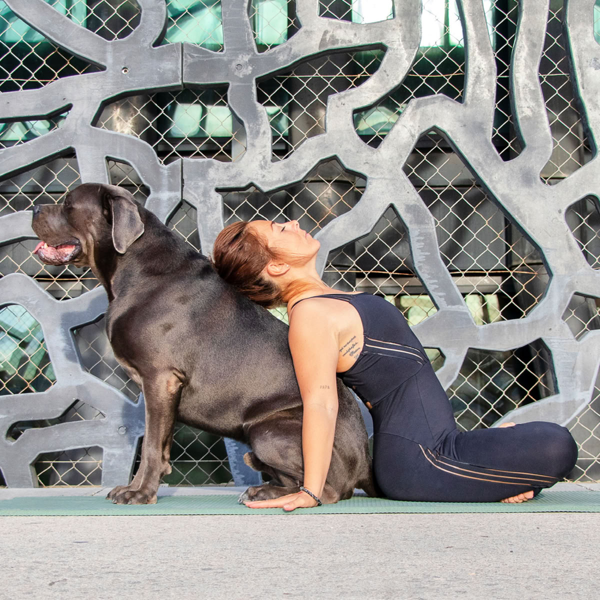 Une pratiquante réalise une posture de yoga sur son tapis, aux côtés d’un grand chien gris.