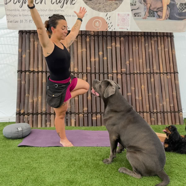 Une pratiquante réalise la posture de l’arbre à côté de son chien.