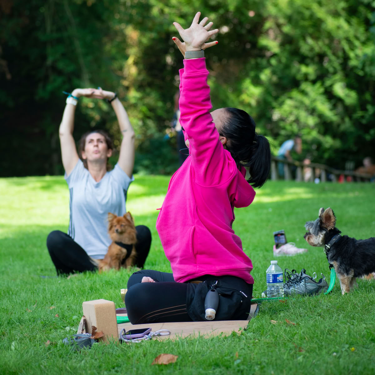 Des participantes pratiquent le yoga en plein air, accompagnées de leurs chiens.