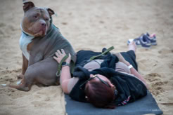 Une pratiquante réalise une posture au sol à côté d’un grand chien gris.
