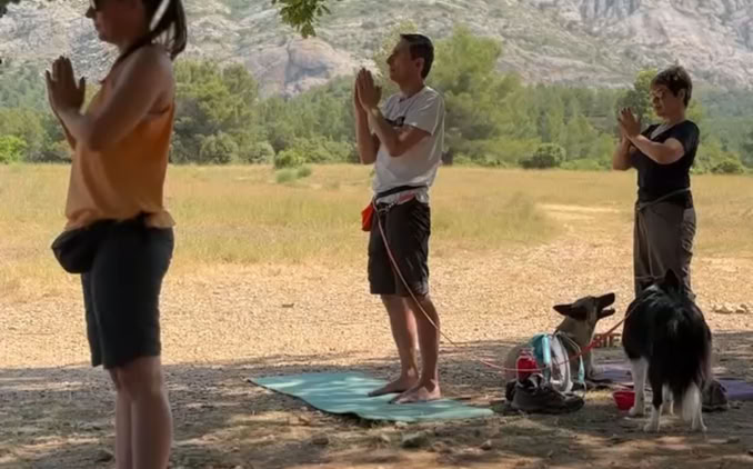 Séance collective de Doga en plein air avec des participantes et leurs chiens.