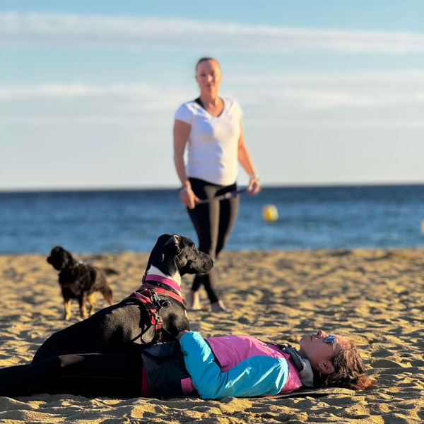 Pratique du Doga sur la plage, avec une participante allongée sur le sable et des chiens à ses côtés.