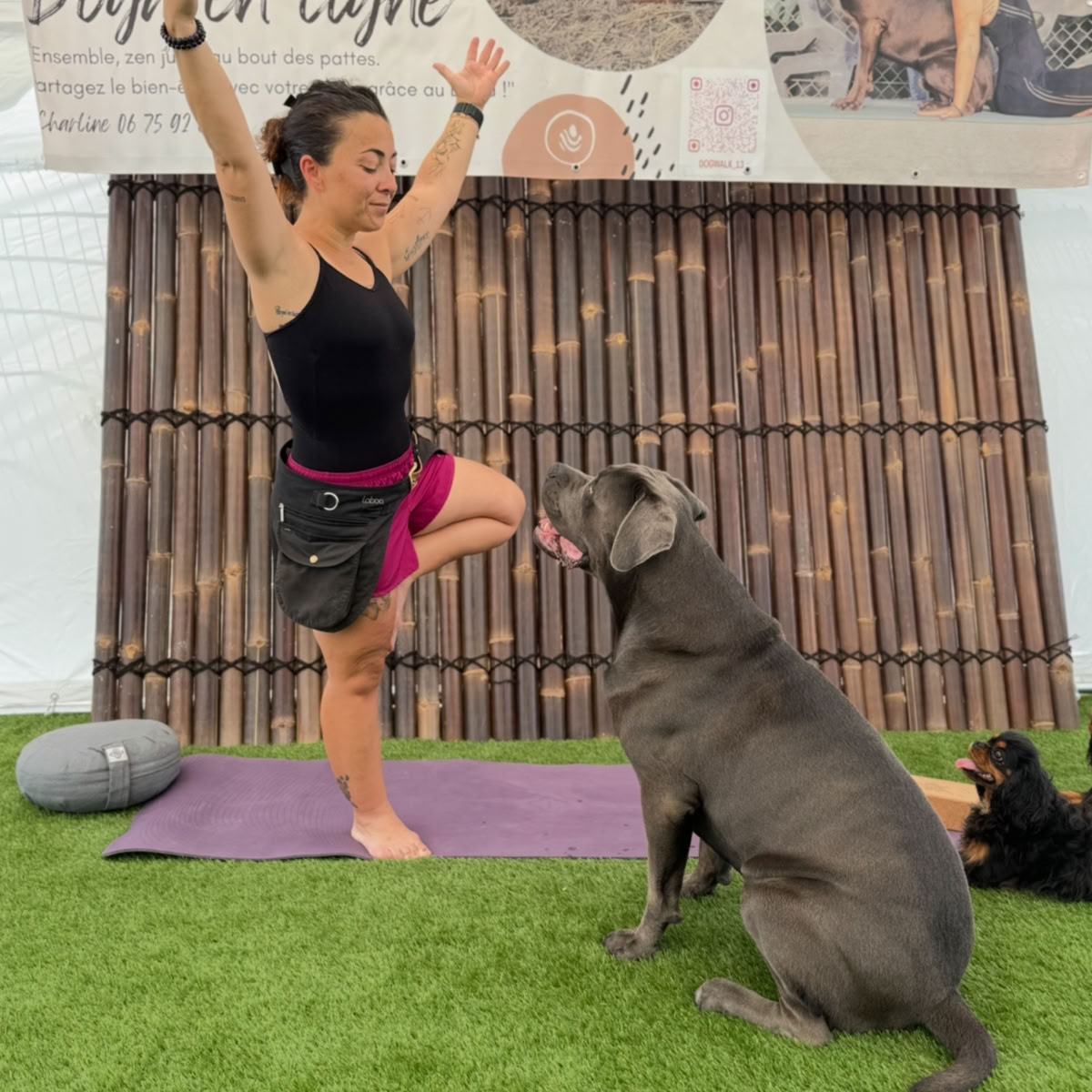 Femme en posture de l’arbre sur un tapis de yoga, face à un cane corso assis à ses côtés.