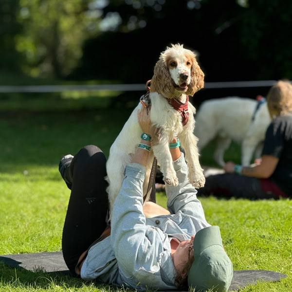 Une pratiquante assise en extérieur partage un moment avec ses chiens.