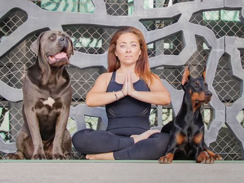Charline Parfum, formatrice en Doga et professeure de yoga, assise entre un cane corso et un dobermann.