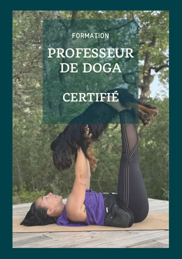 Brochure de présentation de la formation de professeur de Doga certifié de Doga Academy.