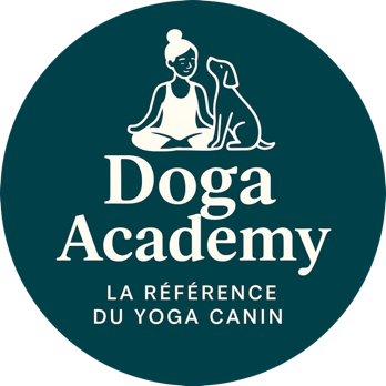 Doga Academy, le yoga avec son chien.